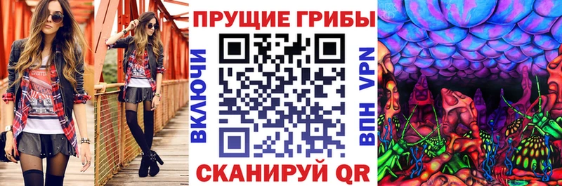 закладка  KRAKEN зеркало  Псилоцибиновые грибы Magic Shrooms  Лаишево 